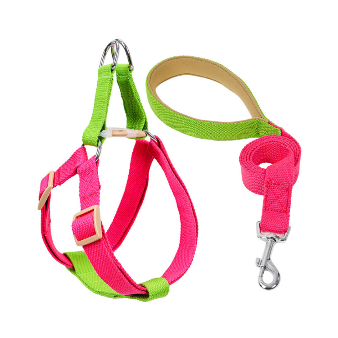 Candy Collection Harness and Leash Set